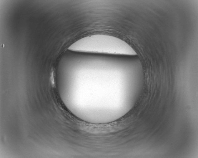 X0000073900042200608110947