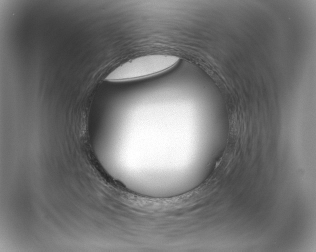 X0000073900043200608110947