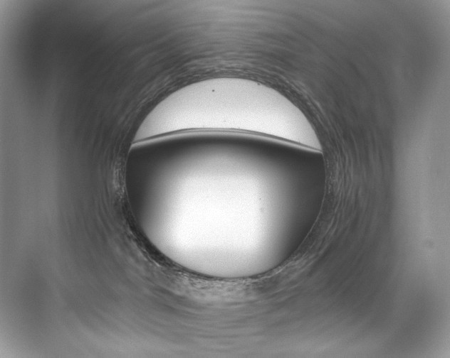 X0000073900044200608110947