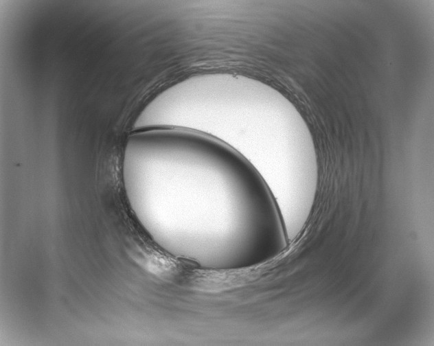 X0000073900045200608110947