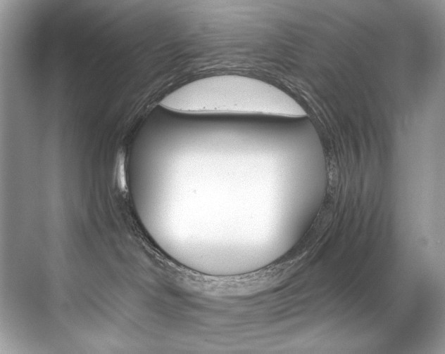 X0000073900046200608110947