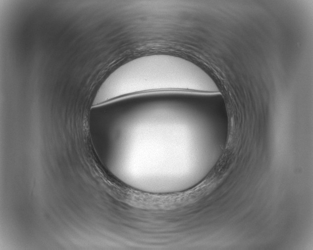 X0000073900048200608110947