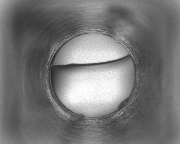 X0000073900049200608110946