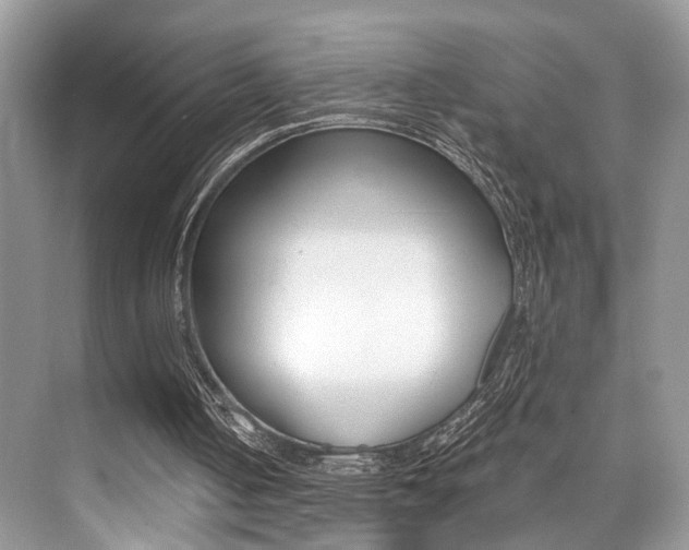 X0000073900050200608110946