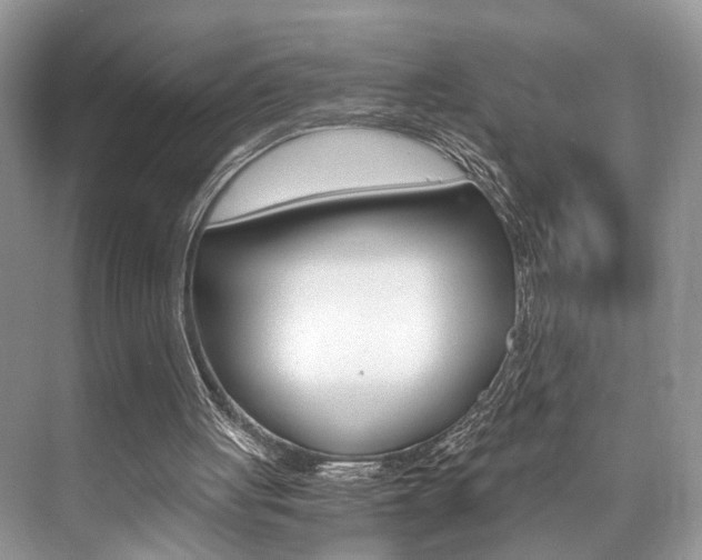 X0000073900051200608110946