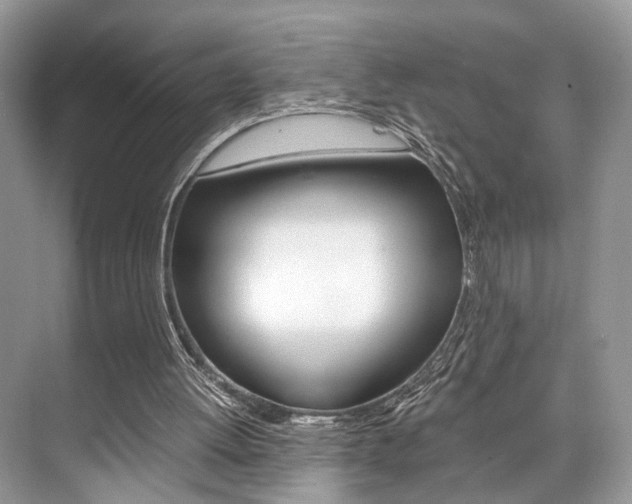 X0000073900052200608110946