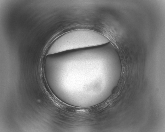 X0000073900053200608110946