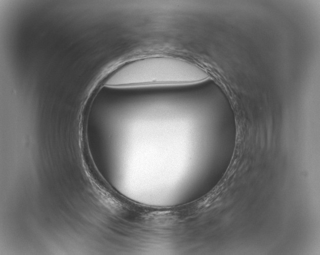 X0000073900054200608110946