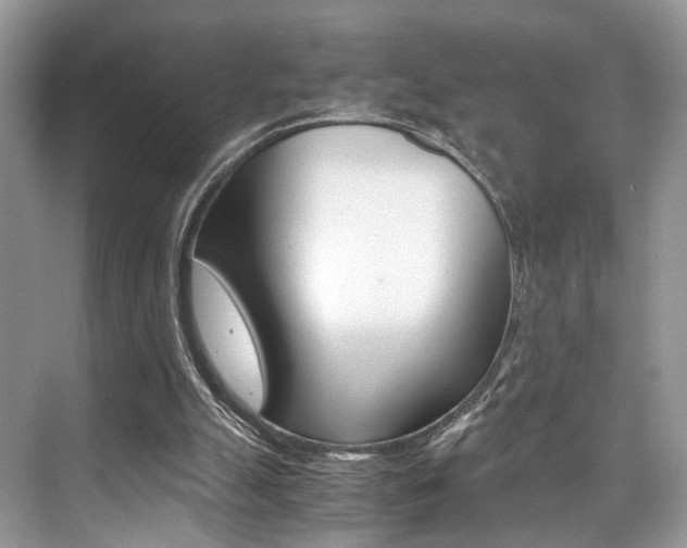 X0000073900055200608110946