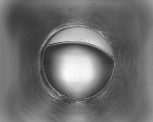 X0000073900056200608110946