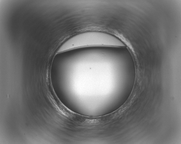 X0000073900057200608110946