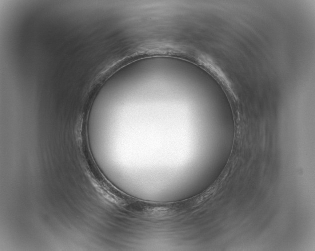 X0000073900058200608110946