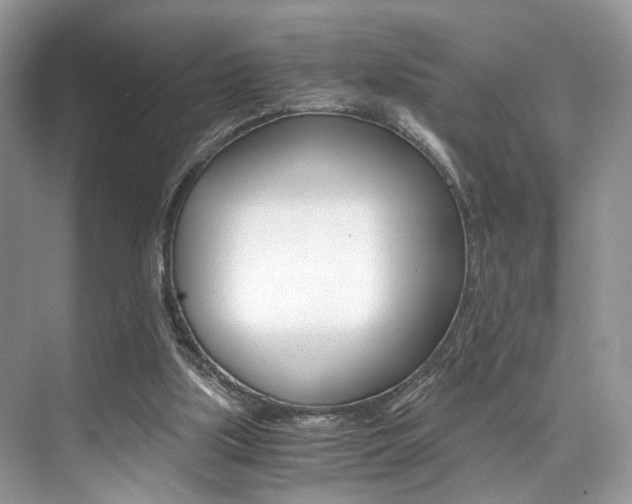 X0000073900059200608110946