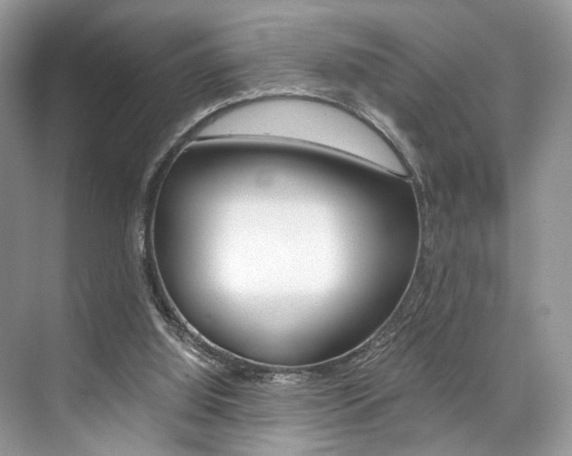 X0000073900060200608110946