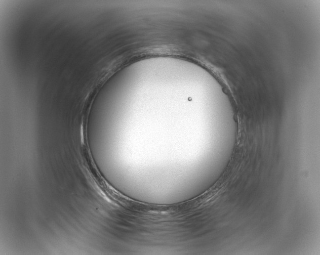 X0000073900061200608110946