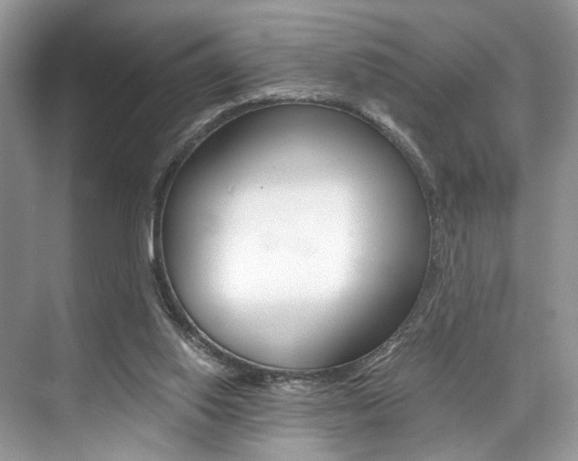 X0000073900062200608110946