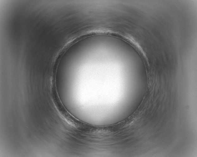 X0000073900063200608110946