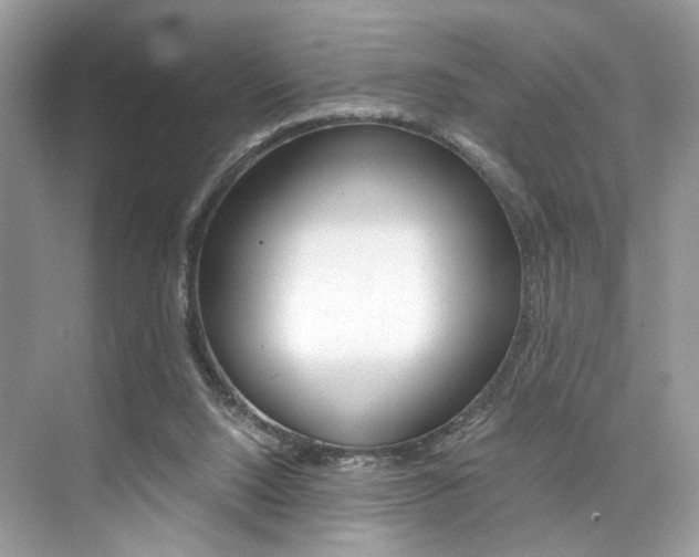 X0000073900064200608110946