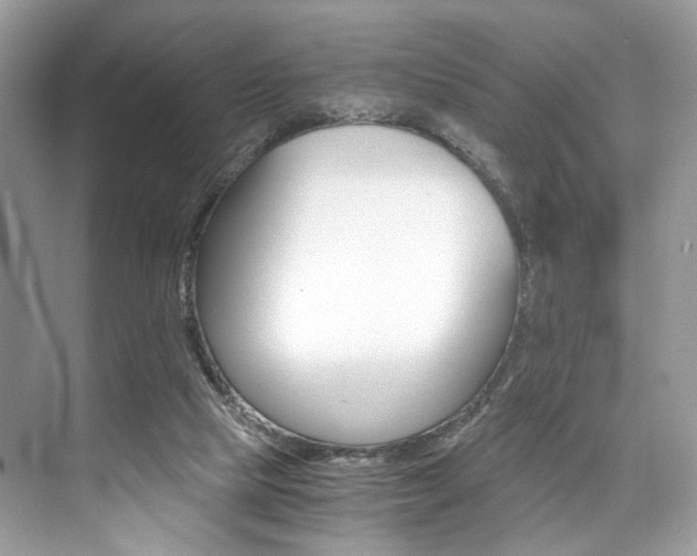 X0000073900065200608110946