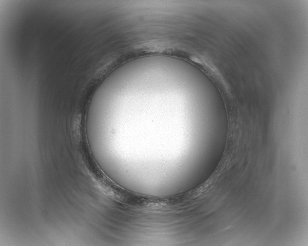 X0000073900066200608110946