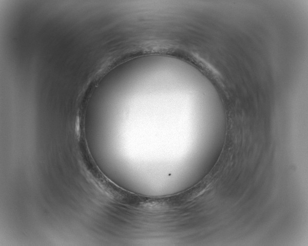 X0000073900067200608110946