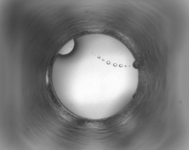 X0000073900069200608110946