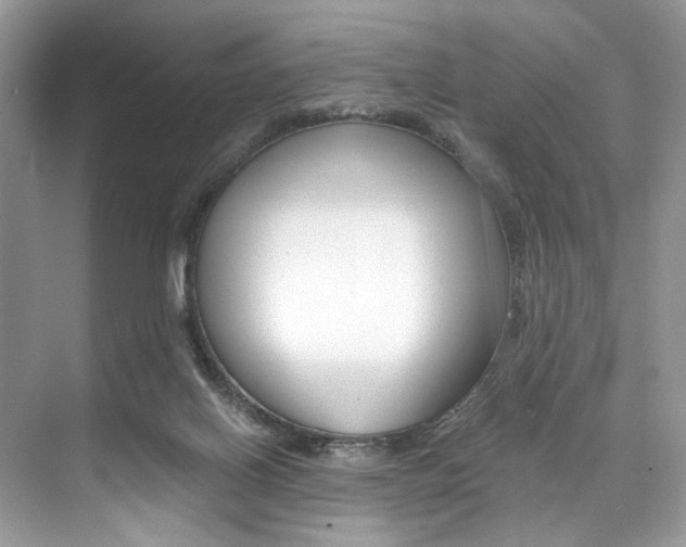 X0000073900070200608110946