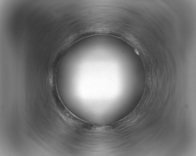 X0000073900072200608110946