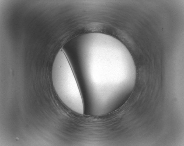 X0000073900073200608110946