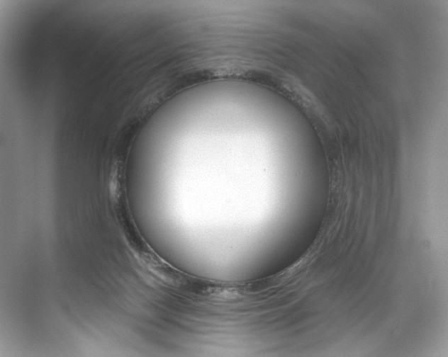 X0000073900074200608110946