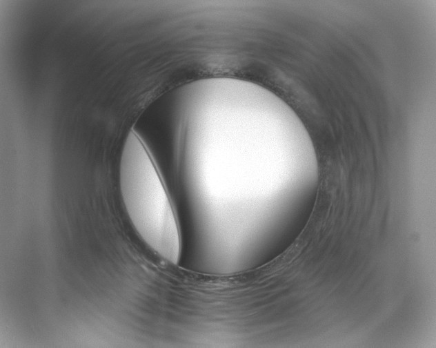 X0000073900075200608110946