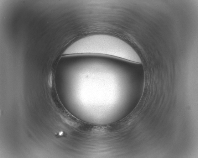 X0000073900076200608110946