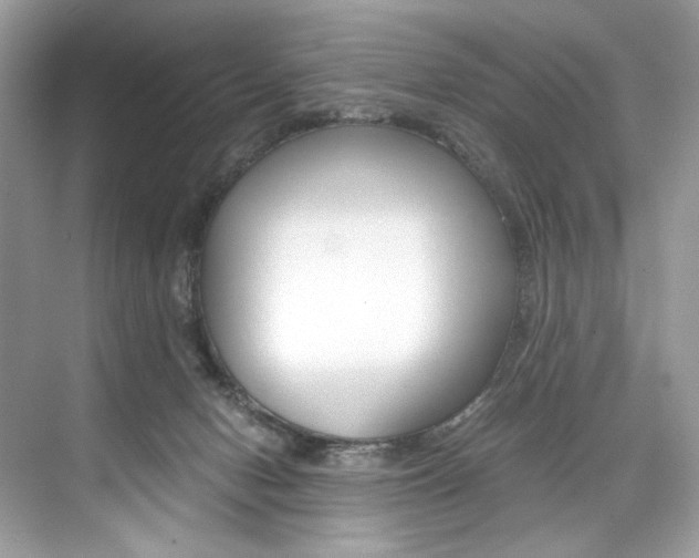 X0000073900078200608110946