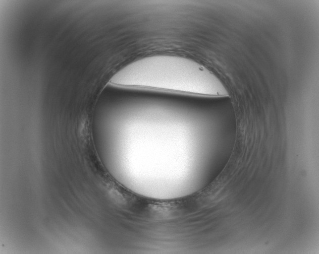 X0000073900079200608110946