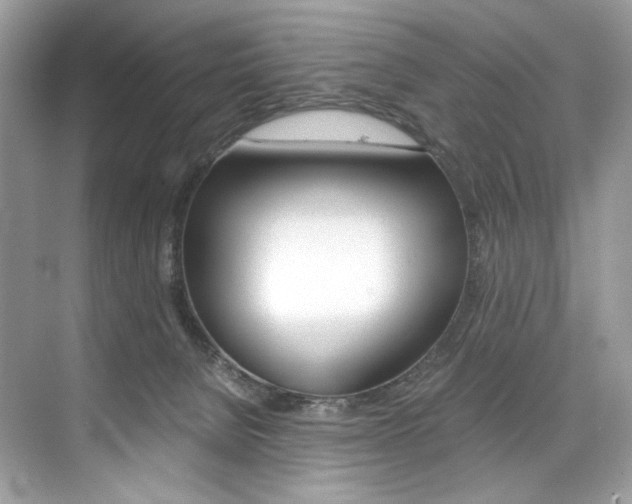 X0000073900080200608110946