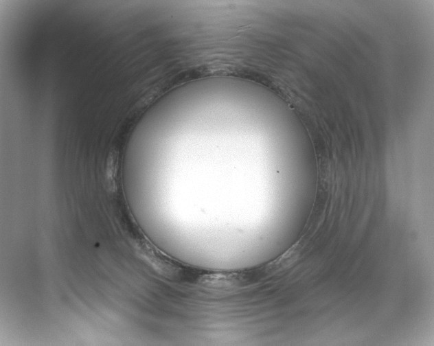 X0000073900082200608110946