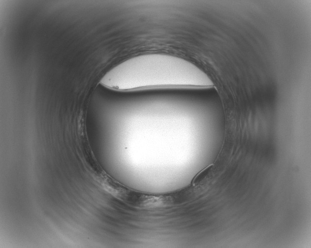 X0000073900083200608110946