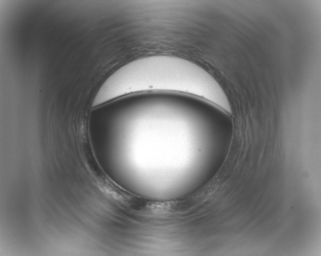 X0000073900084200608110947