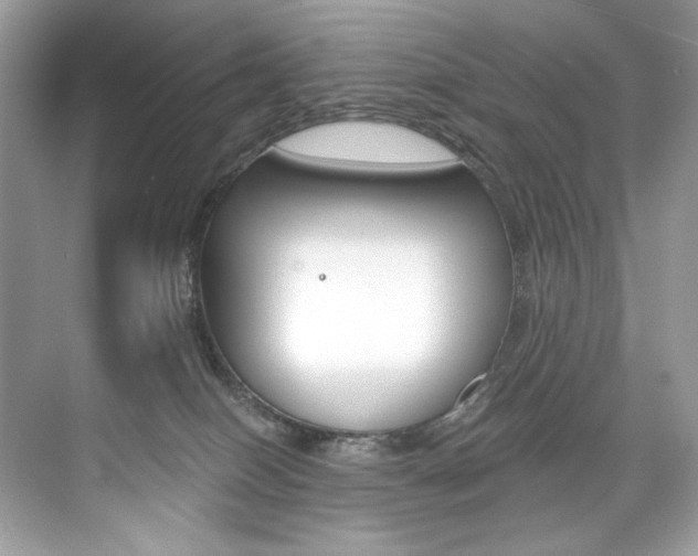 X0000073900086200608110947