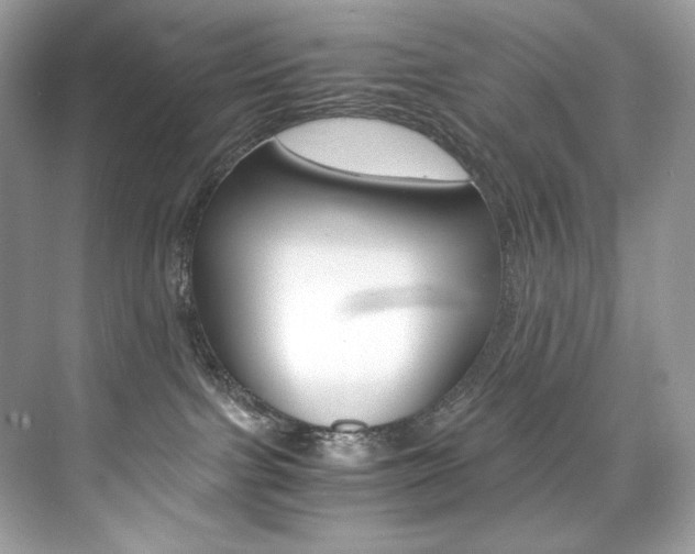 X0000073900091200608110947