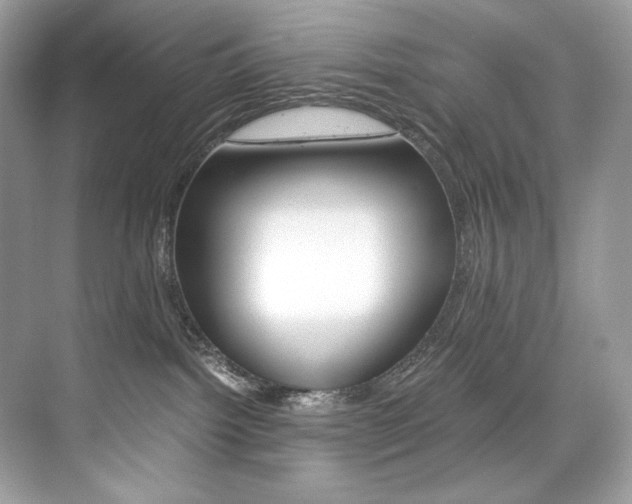 X0000073900092200608110947