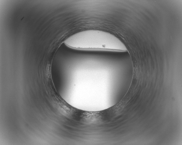 X0000073900093200608110947