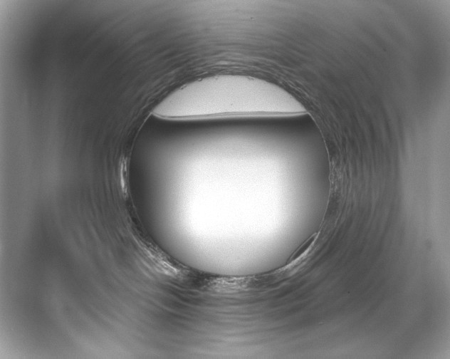 X0000073900094200608110947