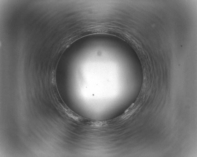 X0000073900096200608110947