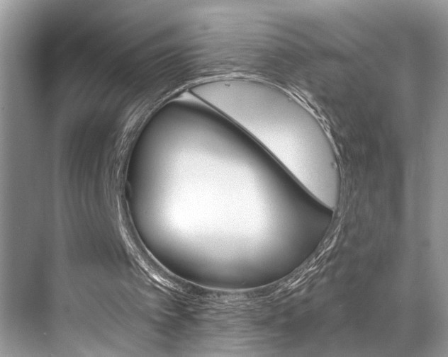 X0000073900097200608110946