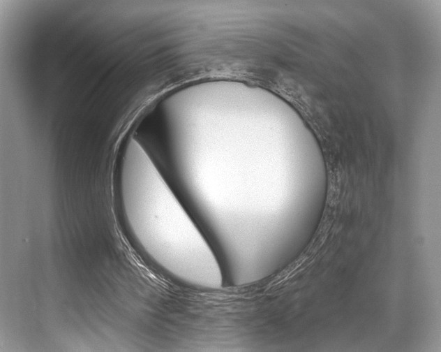 X0000073900098200608110946