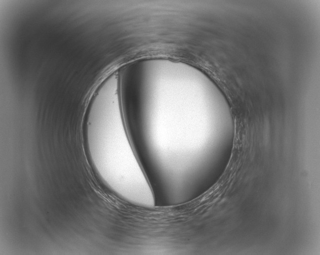 X0000073900099200608110946