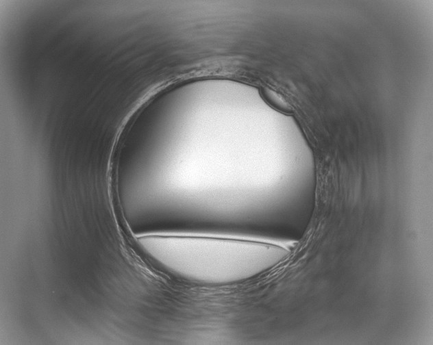 X0000073900100200608110946