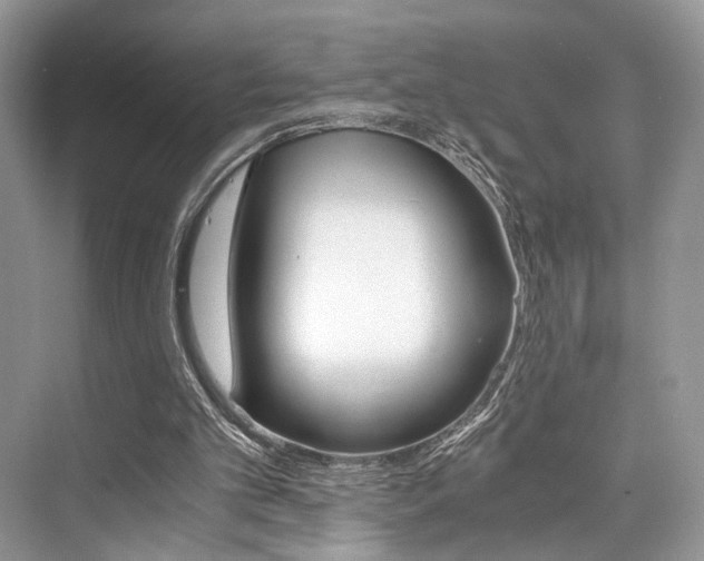 X0000073900101200608110946