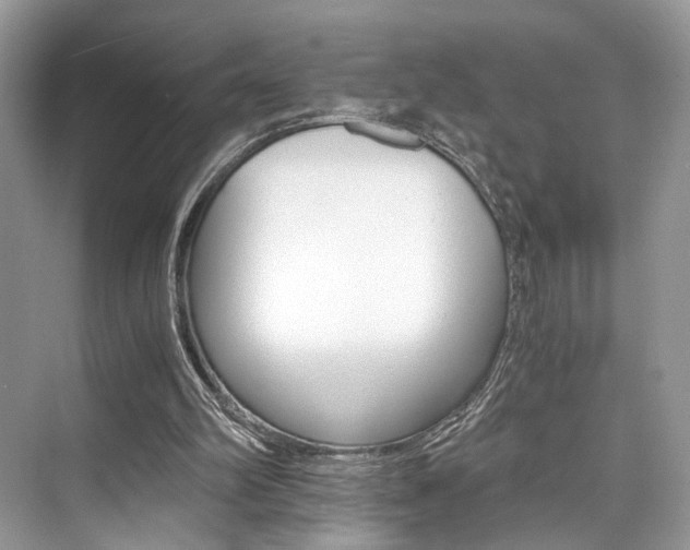 X0000073900102200608110946